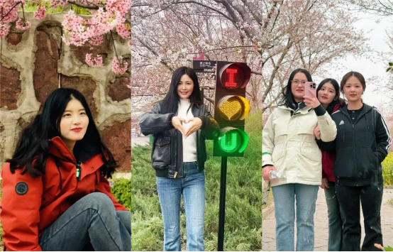 1744012546979360.png image.png